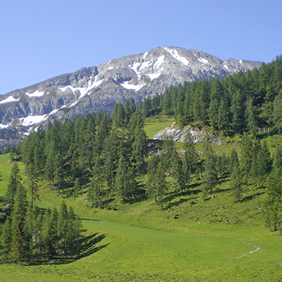 Inklusivleistungen - Hotel Taxerhof - 4 Sterne Hotel - Radstadt - Salzburger Land