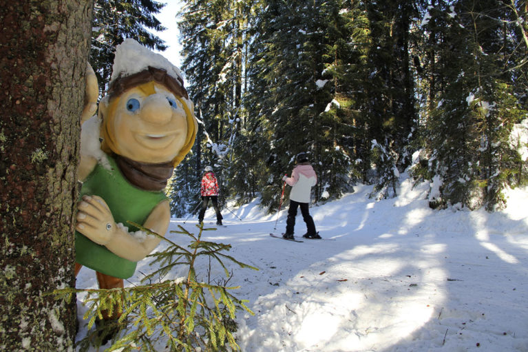 Skifahren - Skigebiet Zauchensee