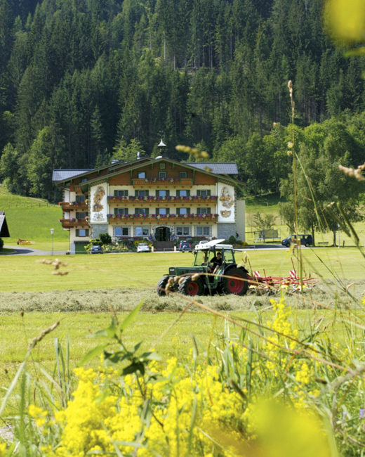 Hotel Taxerhof - Urlaub auf dem Bauernhof - Radstadt - Salzburger Land