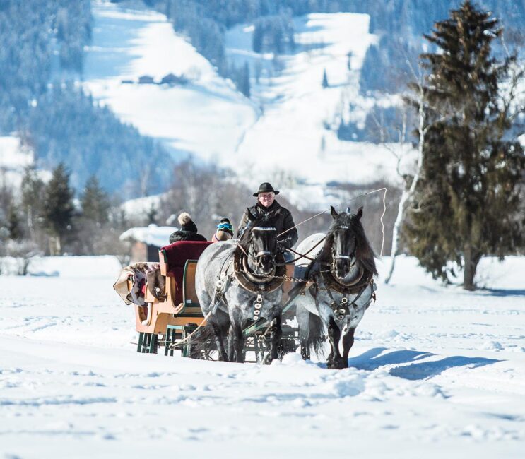 Pferdeschlittenfahrten - Winterurlaub in Radstadt Pferdeschlittenfahrten - Winterurlaub in Radstadt