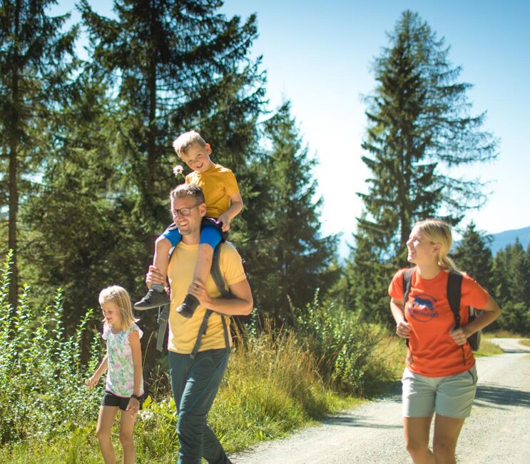 Wandern - Sommerurlaub in Radstadt, Salzburger Land Wandern - Sommerurlaub in Radstadt, Salzburger Land